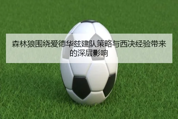 森林狼围绕爱德华兹建队策略与西决经验带来的深层影响